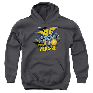 AN OFFCIALLY LICENSED BATMAN BATS WELCOME YOUTH HOODIE CHARCOAL