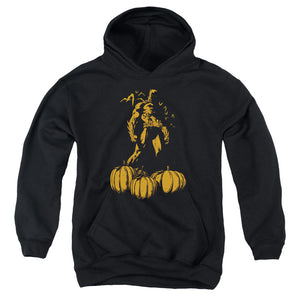 AN OFFCIALLY LICENSED BATMAN A BAT AMONG PUMPKINS YOUTH HOODIE BLACK