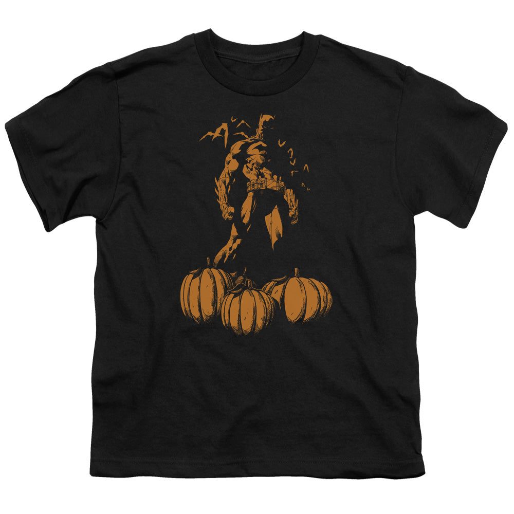 Batman A Bat Among Pumpkins Licensed Kid's T-Shirt (Ages 4-7) SM-XL