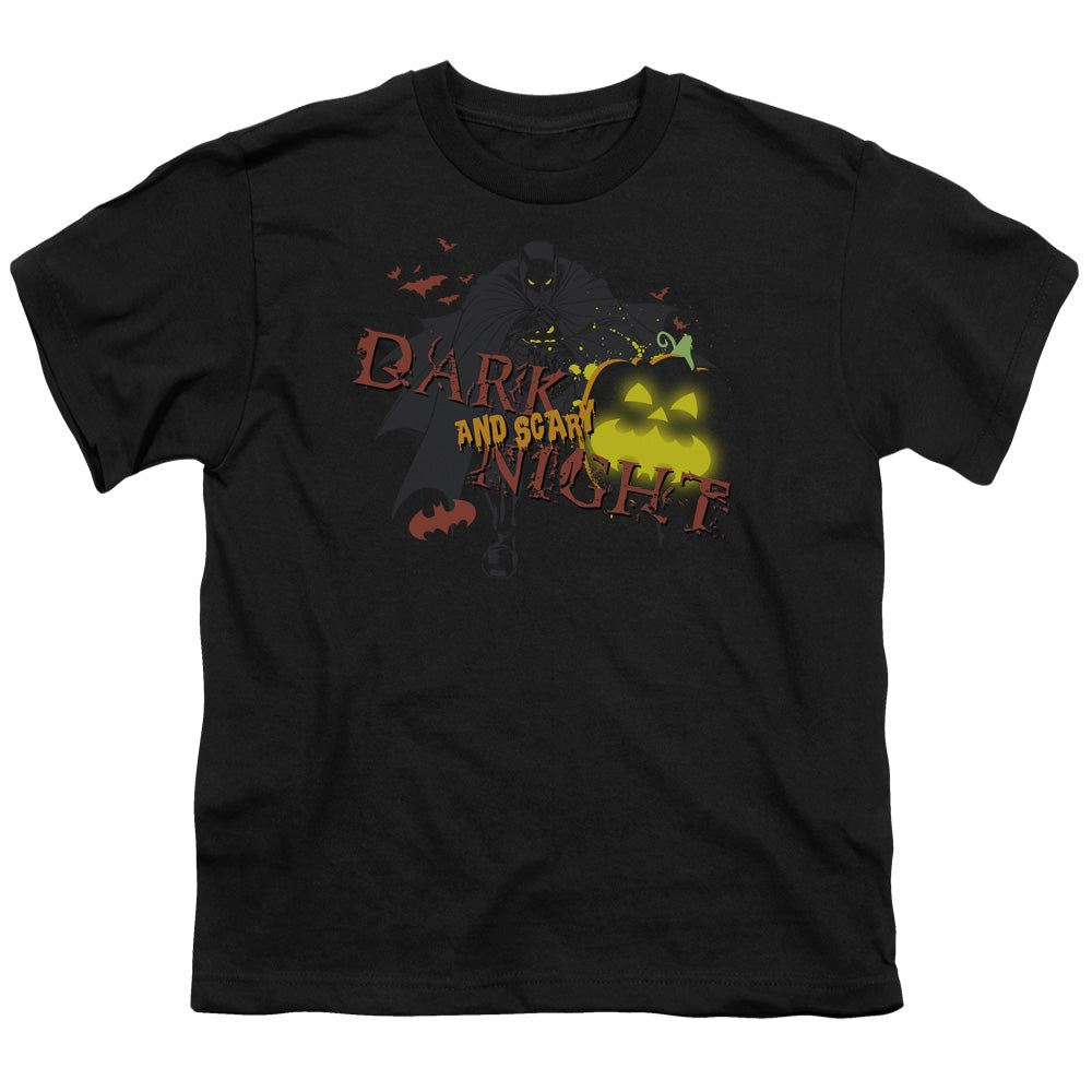Batman Dark And Scary Night Licensed Kid's T-Shirt (Ages 4-7) SM-XL