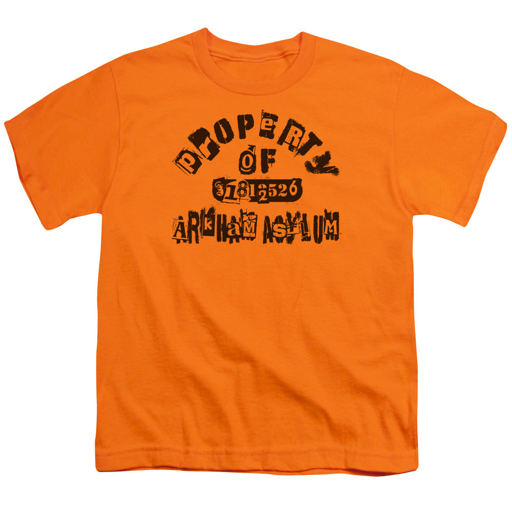 Batman Property Of Arkham Licensed Kid's T-Shirt (Ages 4-7) LG