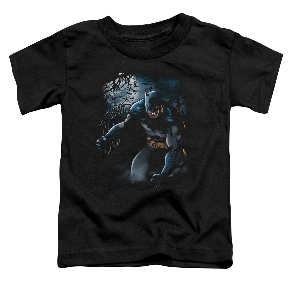 Batman Light Of The Moon Licensed Toddler T-Shirt SM-LG