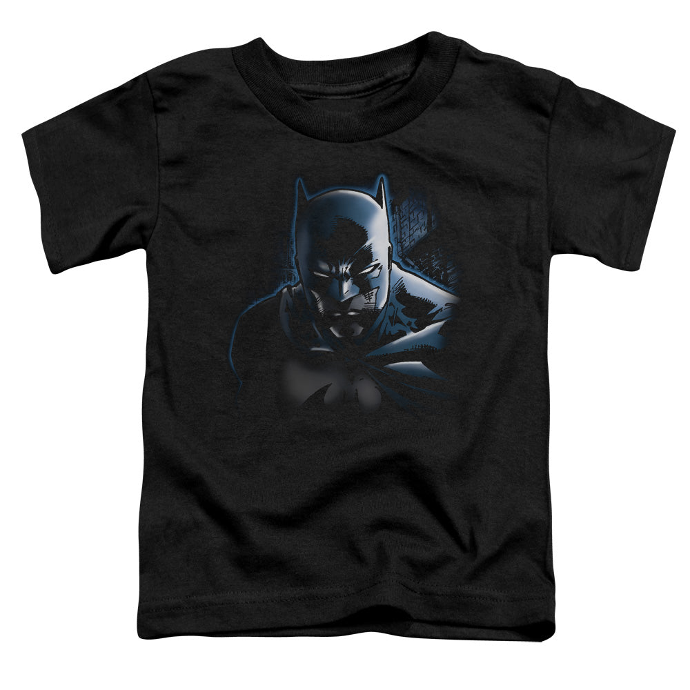 Batman Dont Mess With The Bat Licensed Toddler T-Shirt LG