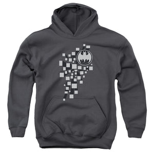 AN OFFCIALLY LICENSED BATMAN GOTHAM 3D YOUTH HOODIE CHARCOAL
