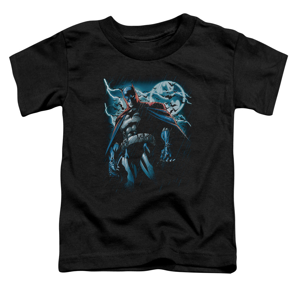 Batman Stormy Knight Licensed Toddler T-Shirt SM-LG
