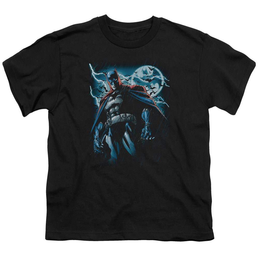 Batman Stormy Knight Licensed Kid's T-Shirt (Ages 4-7) SM-MD