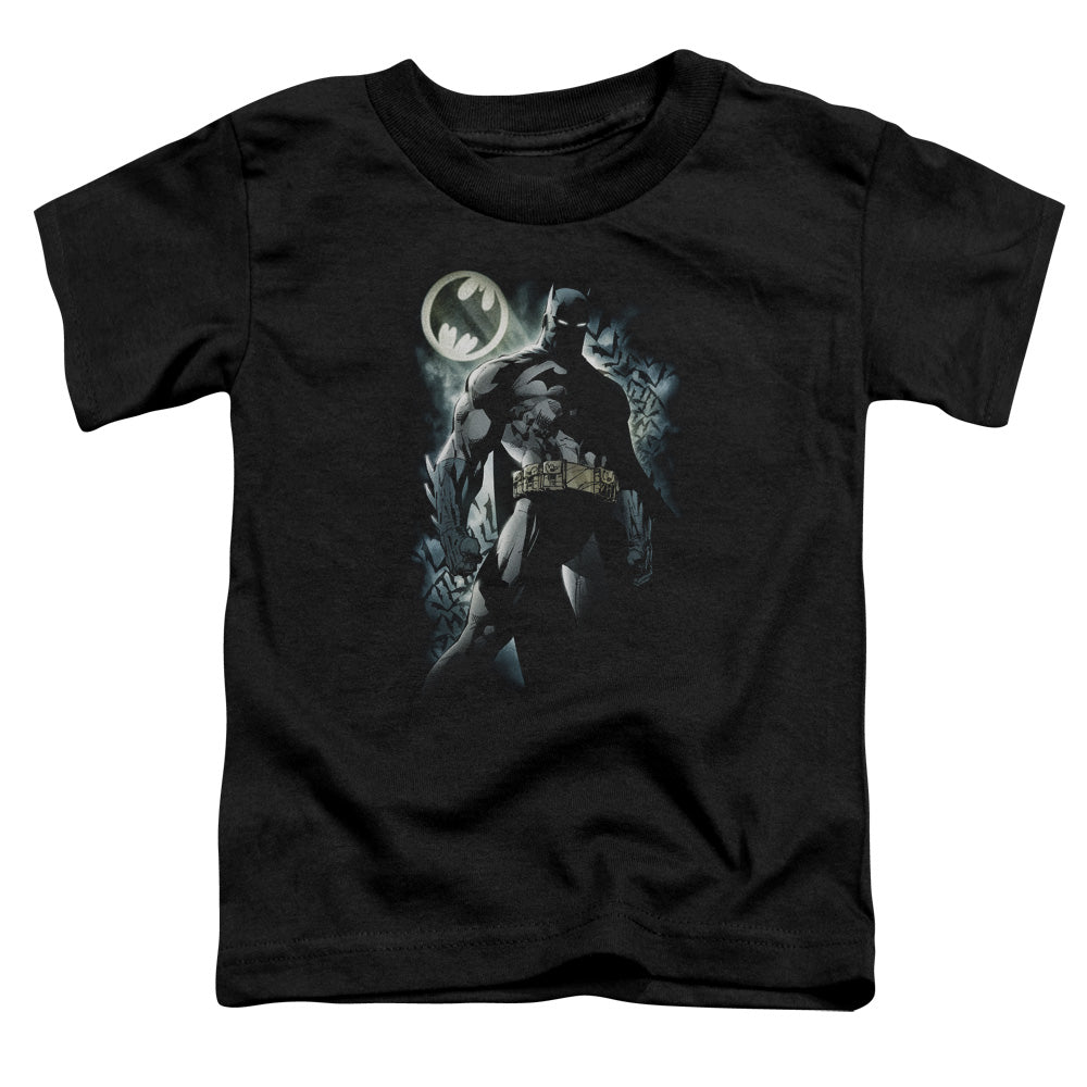 Batman The Knight Licensed Toddler T-Shirt SM-LG