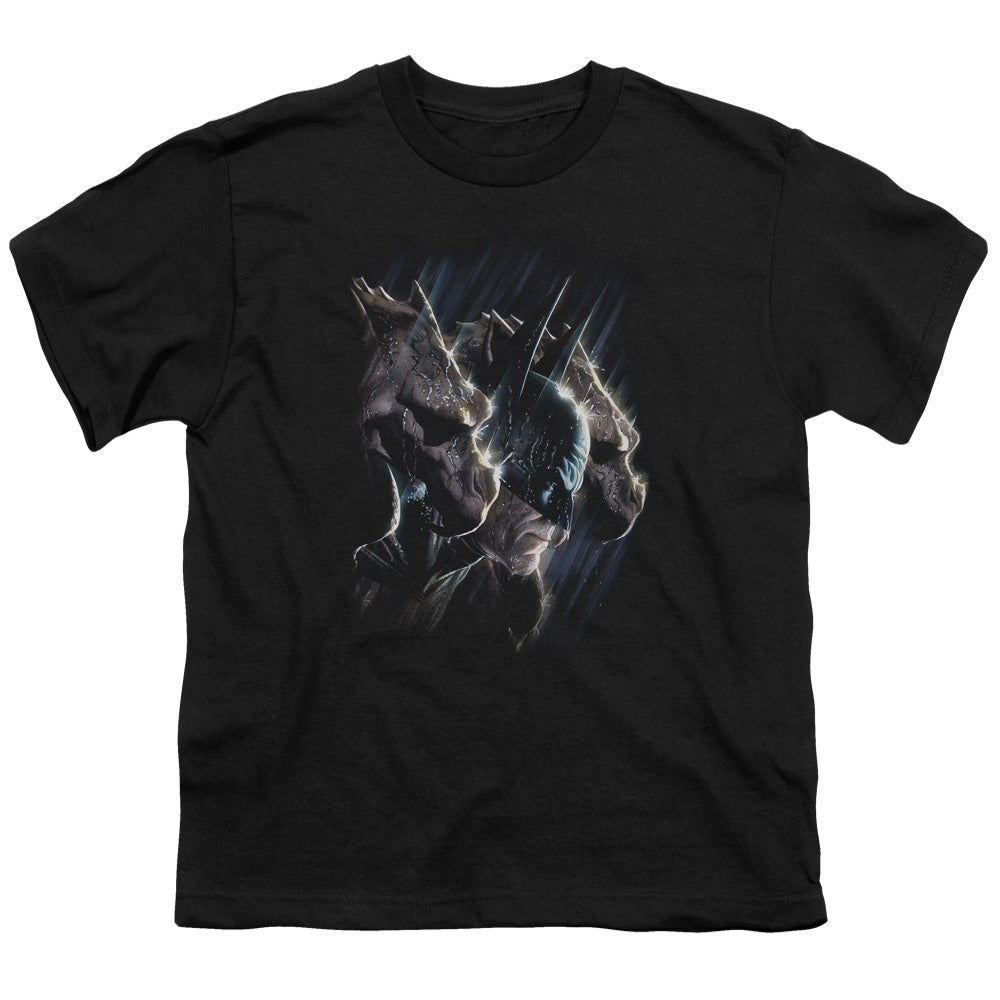 Batman Gargoyles Licensed Kid's T-Shirt (Ages 4-7) XS-XL