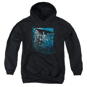 AN OFFCIALLY LICENSED BATMAN BAT AMONG BATS YOUTH HOODIE BLACK