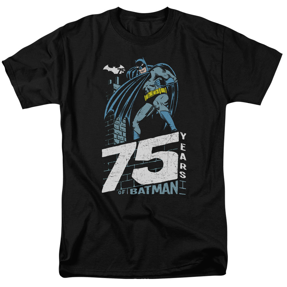 Batman Rooftop Licensed Adult Unisex T-Shirt Regular Fit Tee SM-6X