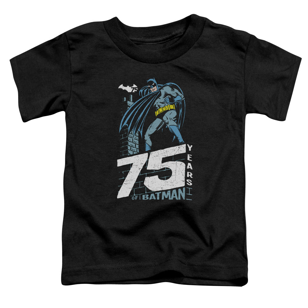 Batman Rooftop Licensed Toddler T-Shirt SM-LG