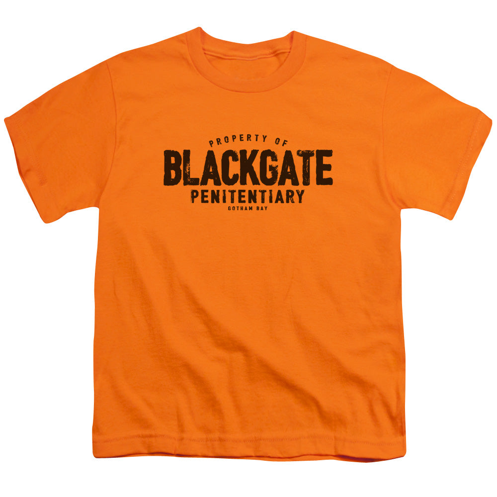 Batman Blackgate Licensed Kid's T-Shirt (Ages 4-7) XS-XL