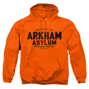 AN OFFCIALLY LICENSED BATMAN ARKHAM ASYLUM ADULT UNISEX PULLOVER HOODIE ORANGE