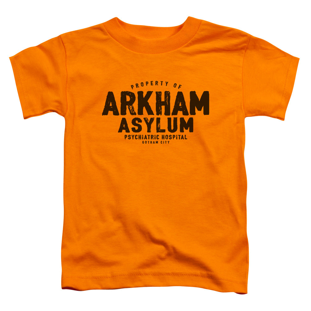 Batman Arkham Asylum Licensed Toddler T-Shirt SM-LG