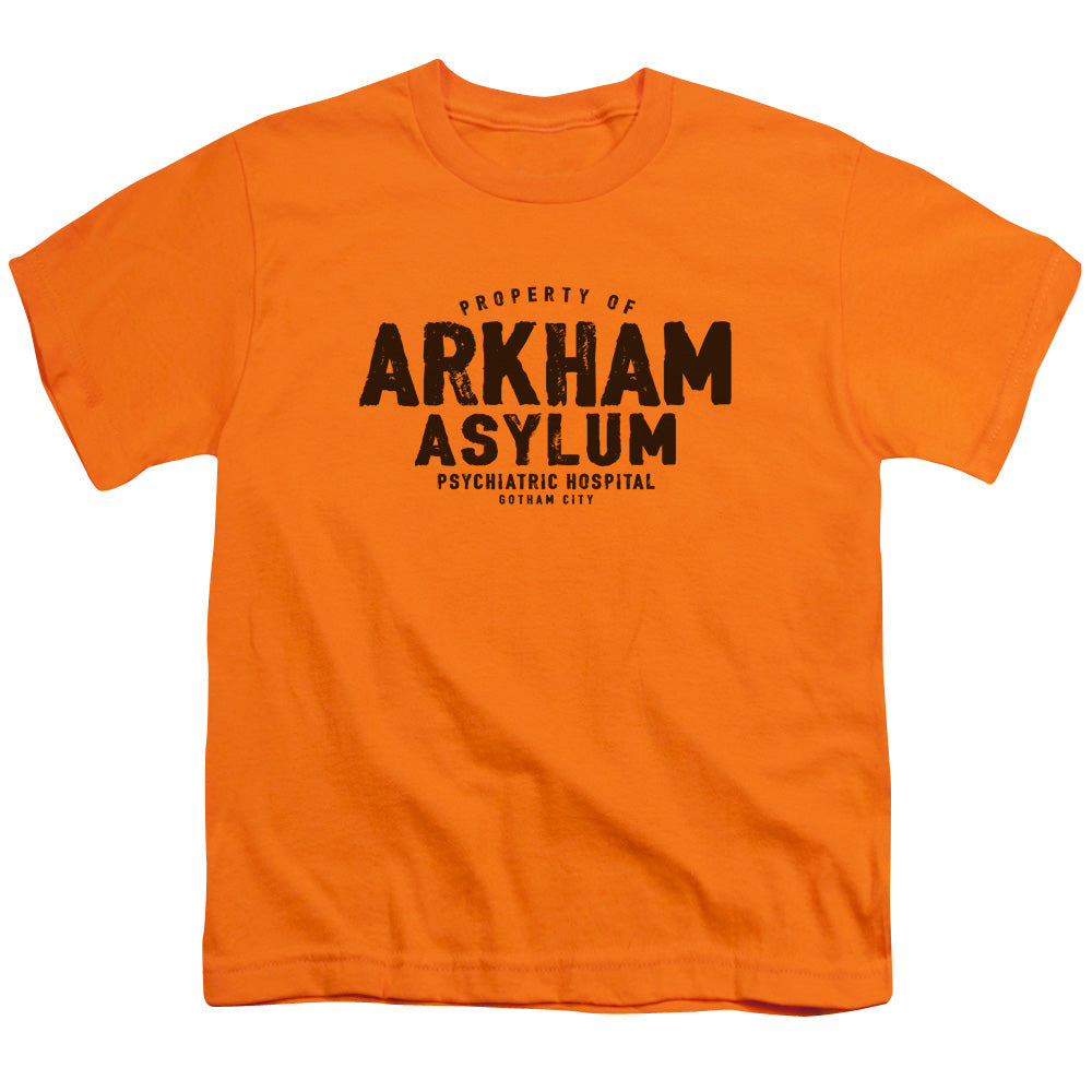 Batman Arkham Asylum Licensed Kid's T-Shirt (Ages 4-7) XS-XL