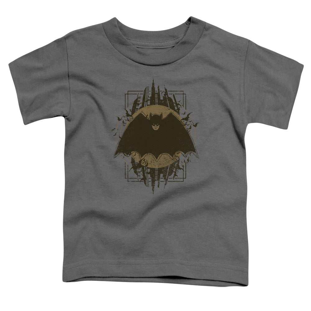 Batman Batman Crest Licensed Toddler T-Shirt SM-LG