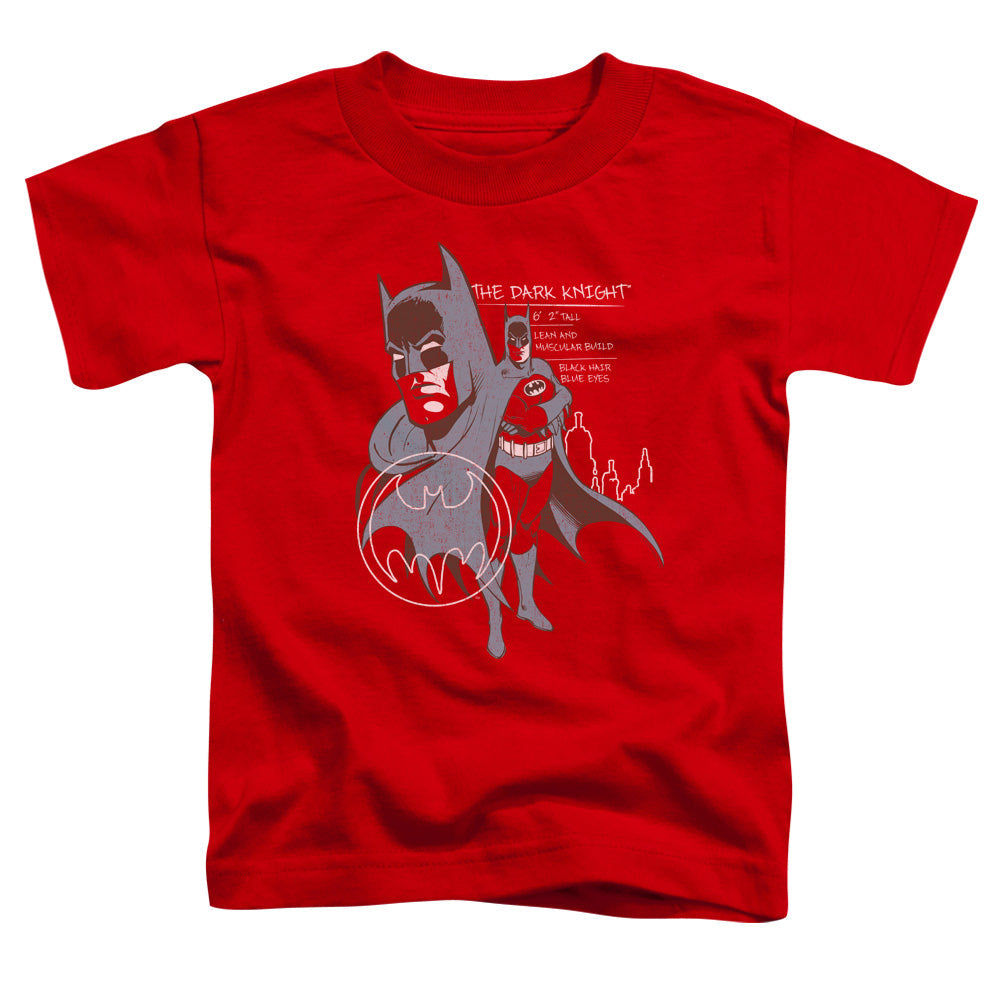 Batman Lean And Muscular Licensed Toddler T-Shirt SM-LG