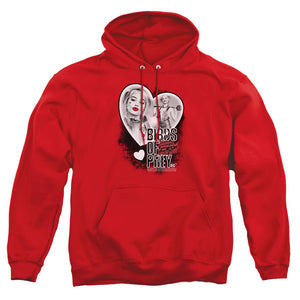 AN OFFCIALLY LICENSED BIRDS OF PREY HEART HARLEY ADULT UNISEX PULLOVER HOODIE RED