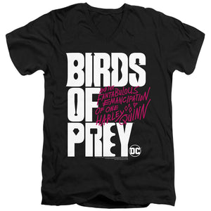 AN OFFCIALLY LICENSED BIRDS OF PREY BIRDS OF PREY LOGO MEN'S V-NECK T-SHIRT BLACK