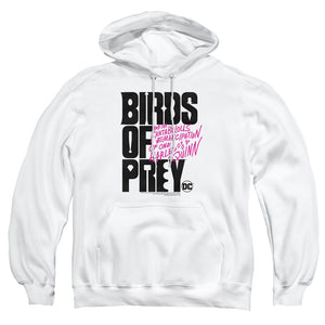 AN OFFCIALLY LICENSED BIRDS OF PREY BIRDS OF PREY LOGO ADULT UNISEX PULLOVER HOODIE WHITE