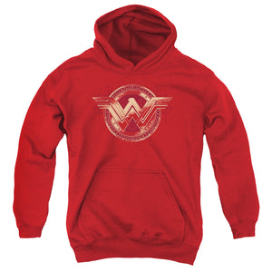 AN OFFCIALLY LICENSED BATMAN V SUPERMAN WONDER SHIELD YOUTH HOODIE RED