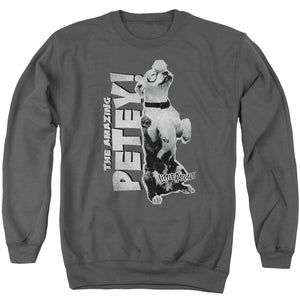 AN OFFCIALLY LICENSED LITTLE RASCALS AMAZING PETEY ADULT UNISEX CREWNECK SWEATSHIRT CHARCOAL