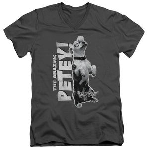 AN OFFCIALLY LICENSED LITTLE RASCALS AMAZING PETEY MEN'S V-NECK T-SHIRT CHARCOAL