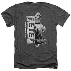 AN OFFCIALLY LICENSED LITTLE RASCALS AMAZING PETEY MEN'S HEATHER T-SHIRT CHARCOAL
