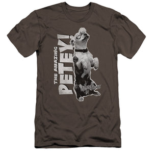 AN OFFCIALLY LICENSED LITTLE RASCALS AMAZING PETEY MEN'S PREMIUM SLIM FIT T-SHIRT CHARCOAL