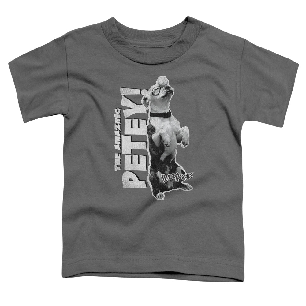 Little Rascals Amazing Petey Licensed Toddler T-Shirt LG