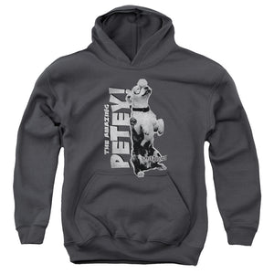 AN OFFCIALLY LICENSED LITTLE RASCALS AMAZING PETEY YOUTH HOODIE CHARCOAL