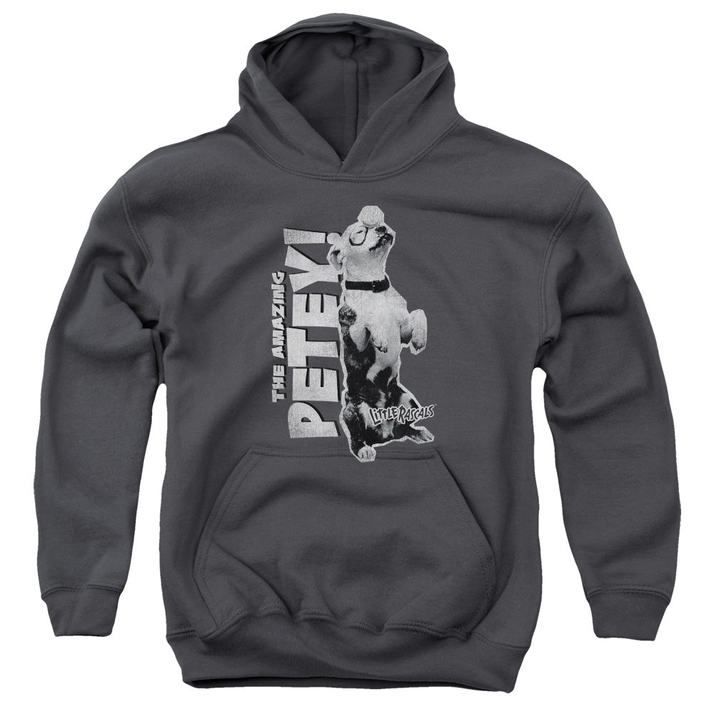 AN OFFCIALLY LICENSED LITTLE RASCALS AMAZING PETEY YOUTH HOODIE CHARCOAL