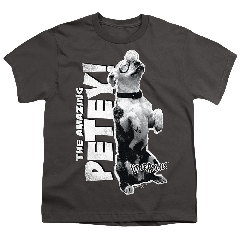 Little Rascals Amazing Petey Licensed Kid's T-Shirt (Ages 4-7) SM-LG