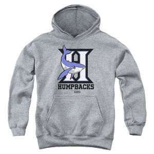 AN OFFCIALLY LICENSED AMERICAN VANDAL HUMPBACKS YOUTH HOODIE ATHLETIC HEATHER