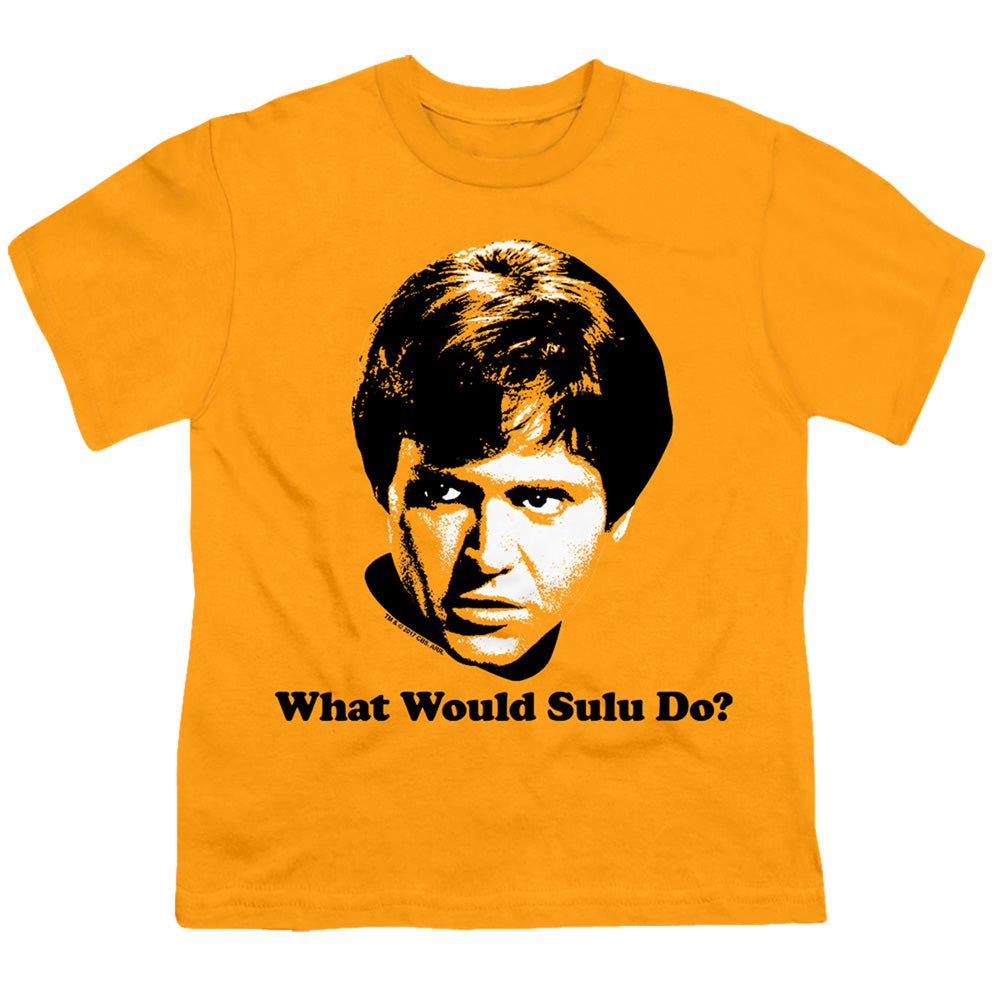 Star Trek What Would Sulu Do Licensed Kid's T-Shirt (Ages 4-7) XS-LG