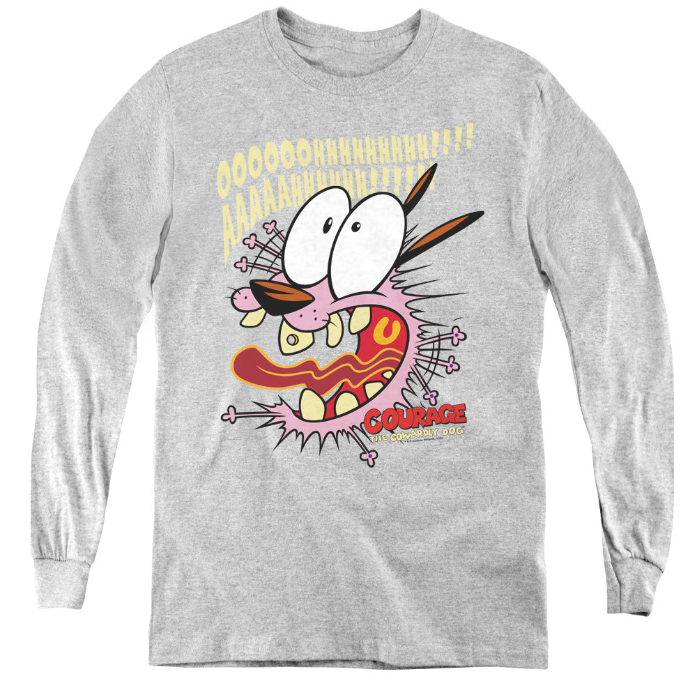 AN OFFCIALLY LICENSED COURAGE THE COWARDLY DOG SCAREDY DOG YOUTH LONG SLEEVE T-SHIRT ATHLETIC HEATHER