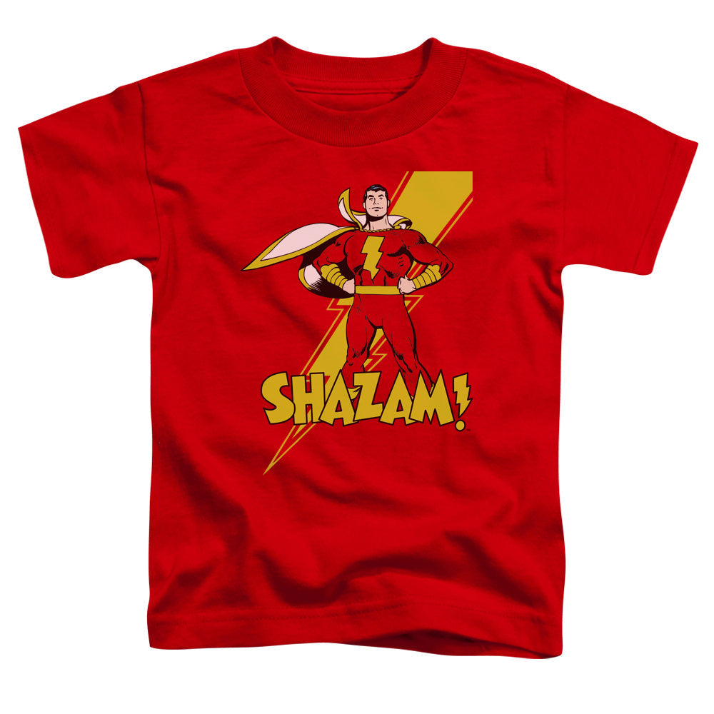Dc Shazam Shazam Licensed Toddler T-Shirt LG