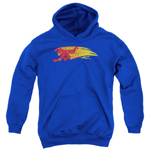 AN OFFCIALLY LICENSED DC FLASH FASTEST MAN ALIVE YOUTH HOODIE ROYAL