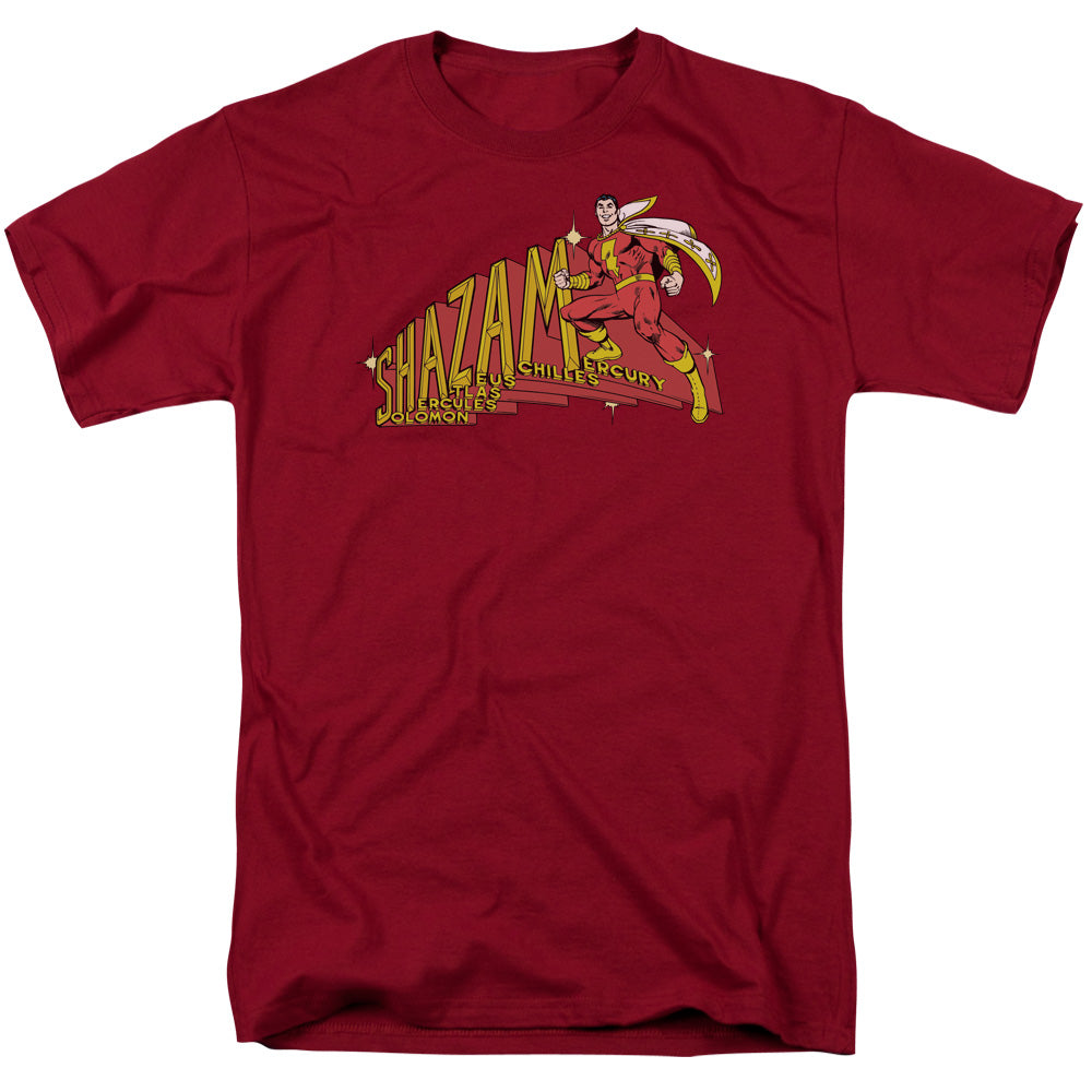 Dc Shazam Shazam Licensed Adult Unisex T-Shirt Regular Fit Tee SM-3X