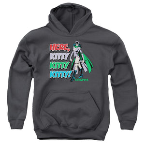 AN OFFCIALLY LICENSED DC HERE KITTY YOUTH HOODIE CHARCOAL