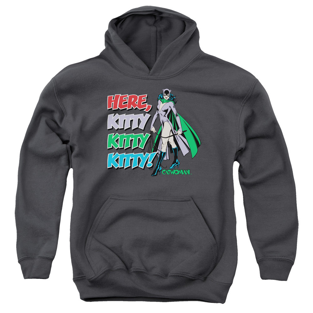 AN OFFCIALLY LICENSED DC HERE KITTY YOUTH HOODIE CHARCOAL