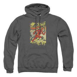 AN OFFCIALLY LICENSED DC FLASH JUST PASSING THROUGH ADULT UNISEX PULLOVER HOODIE CHARCOAL