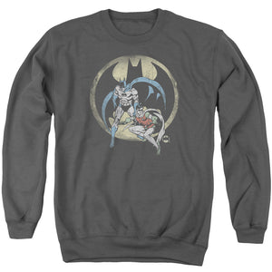 AN OFFCIALLY LICENSED DC TEAM ADULT UNISEX CREWNECK SWEATSHIRT CHARCOAL
