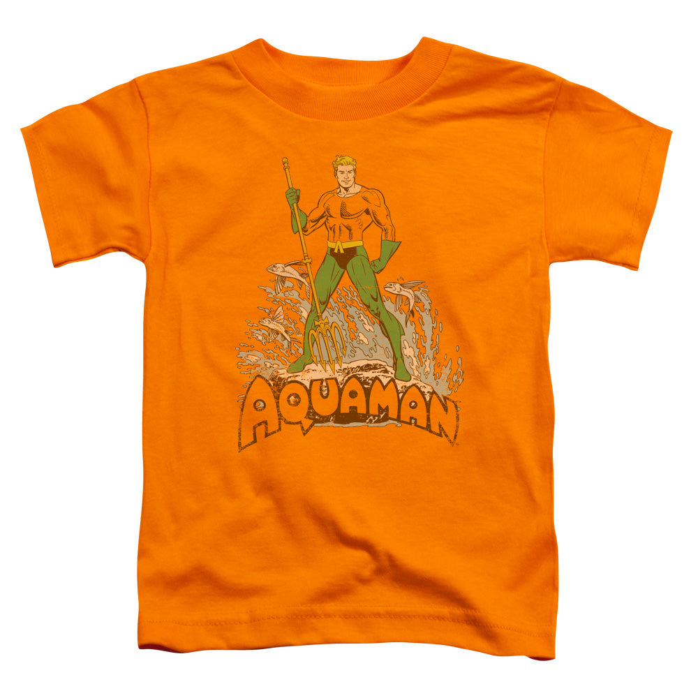 DC Aquaman Distressed Licensed Toddler T-Shirt SM-LG