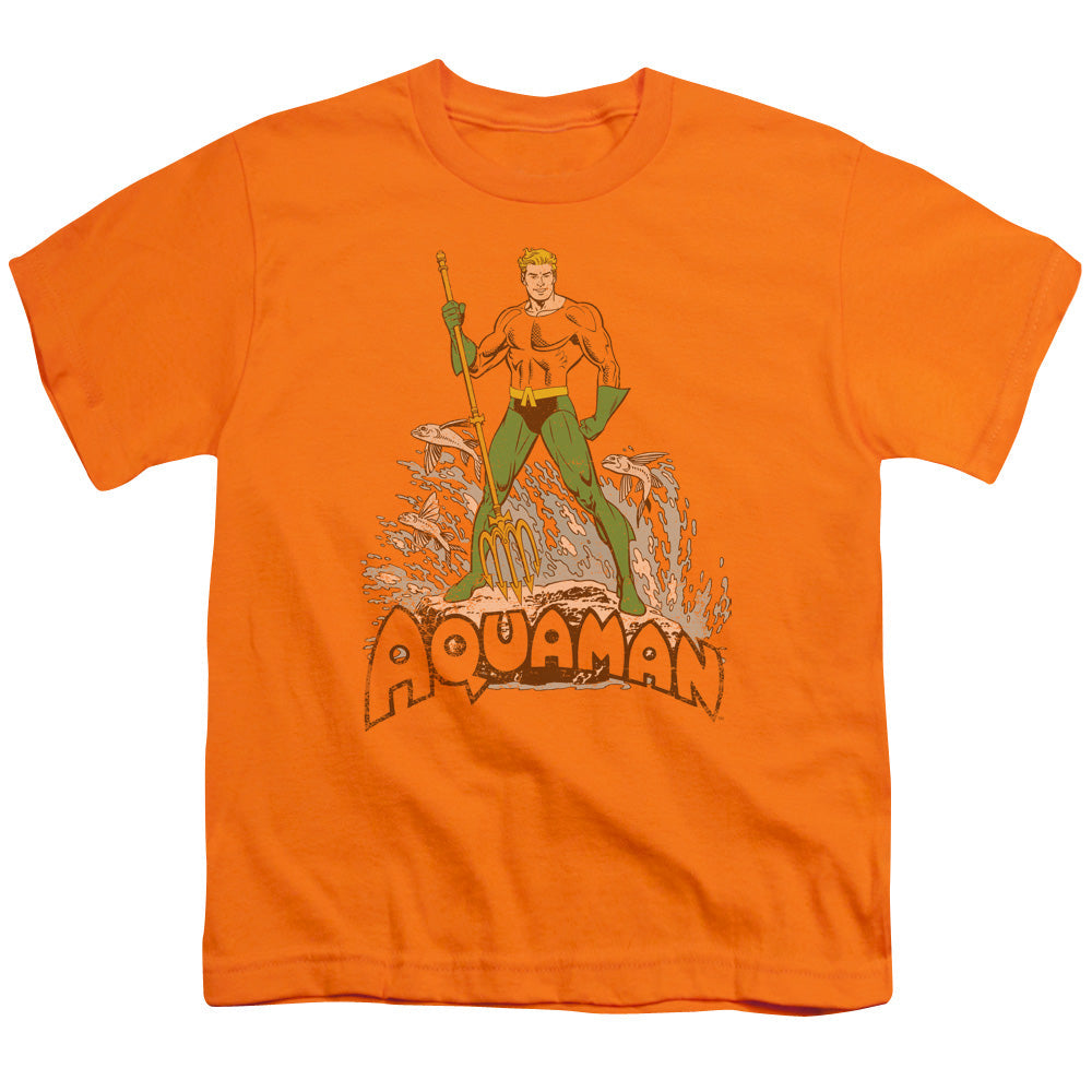 DC Aquaman Distressed Licensed Kid's T-Shirt (Ages 4-7) XS-XL