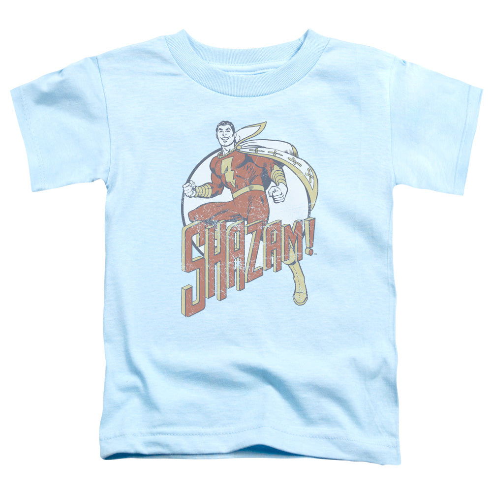 DC Stepping Out Licensed Toddler T-Shirt LG