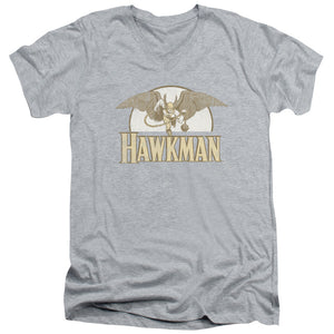 AN OFFCIALLY LICENSED DC FLY BY MEN'S V-NECK T-SHIRT ATHLETIC HEATHER