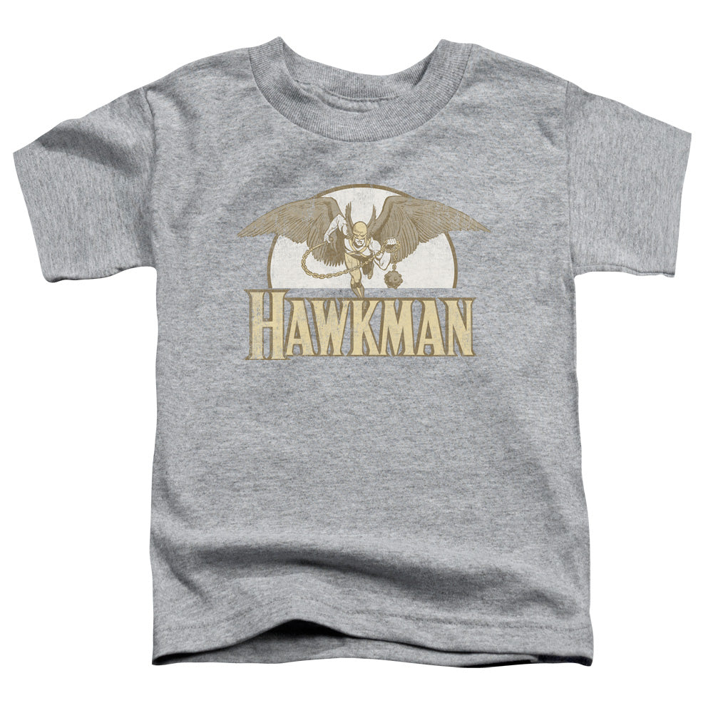 DC Fly By Licensed Toddler T-Shirt LG