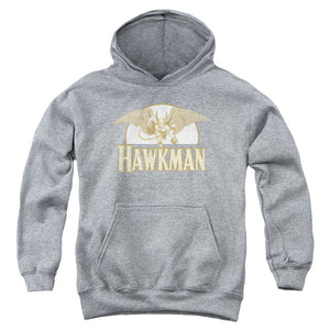 AN OFFCIALLY LICENSED DC FLY BY YOUTH HOODIE ATHLETIC HEATHER