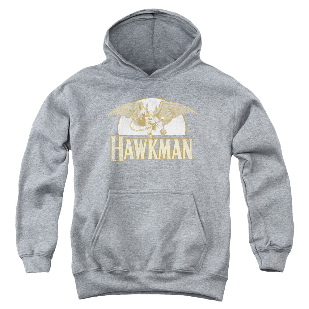AN OFFCIALLY LICENSED DC FLY BY YOUTH HOODIE ATHLETIC HEATHER